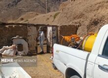 شریعتی: خدمات جهادی دامپزشکی در مناطق کم‌برخوردار ادامه دارد