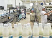 لبنیات؛ بازاری که قیمتها قانون را راحت دور میزنند