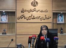 مقصودی: حمایت حاکمیت از صنعت خودرو نباید بدون قید و شرط باشد
