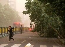 هشدار نسبت به وزش تندباد در تهران