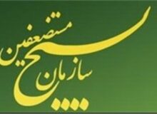 پزشکان ایرانی در خط مقدم دفاع از ایران هستند