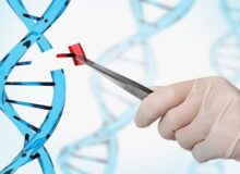 پزشکی فراتر از دانش و فنون درمانی؛ نگاهی به ابعاد معرفتی و اجتماعی طب