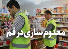 کشف و معدومسازی ۱۴۰۰ کیلوگرم اسکلت مرغ غیربهداشتی در قم