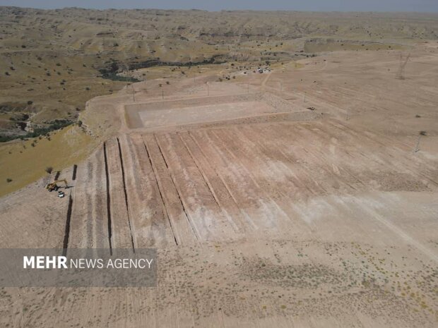 گچساران به استقبال خرمای مجول رفت؛ کشت در ۱۵۰۰ هکتار از نخلستان بلیسک
