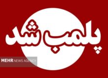 ۷ قصابی غیرمجاز در جوانرود پلمب شد