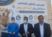 ۸۰۵ سگ در سنندج زنده گیری شد؛ لزوم آموزش شهروندان در مواجهه با سگ‌ها
