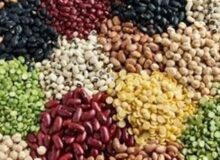 113درصد اختلاف قیمت لوبیا در بازار با وجود تخصیص ارز مبادله‌ای