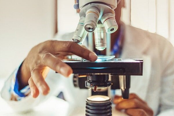 استفاده از قارچ خوراکی برای تبدیل پسماندهای صنعتی به محصولات باارزش