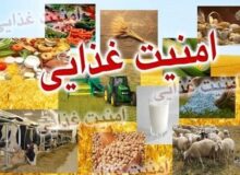 امنیت غذایی را اولویت درجه یک کشور کنیم