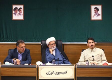 تنوع‌بخشی به سبد سوخت و انتقال سهمیه‌های بنزین به کارت بانکی بررسی شد