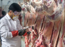 تولید بیش از ۲۵ هزار تن گوشت قرمز در خراسان رضوی