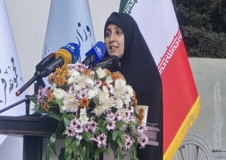 داده‌های قضایی مسیر سیاستگذاری در حوزه زنان را دقیق‌تر می‌کند