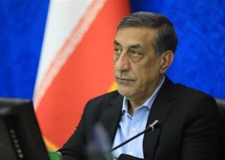 در تمام جنگ‌های اخیر هیچ قفسه‌ای خالی نشد و زندگی در جریان بود