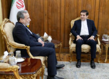دیدار سرکنسول جدید ایران در کاپان ارمنستان با عراقچی