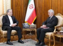 دیدار سرکنسول جدید ایران در کربلا با وزیر امور خارجه