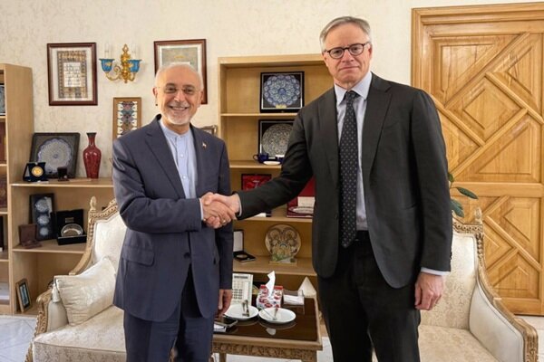 سفیر آلمان با رئیس بنیاد ایرانشناسی دیدار و گفتگو کرد