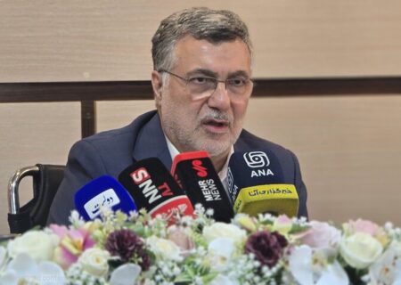 ظفرقندی: هزینه بستری در نظام ارجاع صفر است