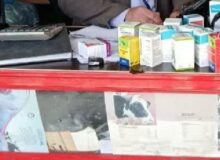 قاسمی: ۳۲ ویال داروی قاچاق دامپزشکی در اسلام‌آبادغرب کشف شد
