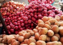 قیمت سیب‌زمینی با کاهش ۵۰ درصدی عرضه، افزایش یافت