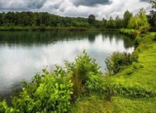 مدل‌سازی روابط اکوژئومورفیک در حوضه‌های رودخانه‌ای تالش