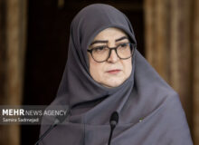 مهاجرانی: آنچه انجام شده تمام توان دولت است