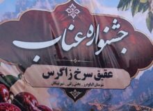 نخستین جشنواره عناب در الیگودرز برگزار شد