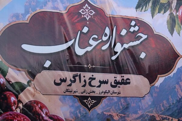 نخستین جشنواره عناب در الیگودرز برگزار شد