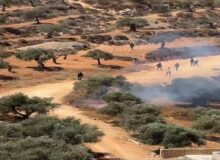 وزیر خارجه فرانسه: خشونت شهرک نشینان اسرائیلی شرم آور است