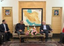 وزیر کشور پاکستان وارد ایران شد