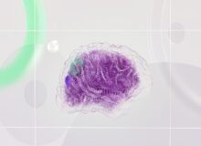 چاپگری که با دستور صوتی کار می کند
