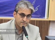 حسین‌پور: امنیت پایدار خارگ مرهون تلاش شبانه‌روزی نیروهای فراجا است