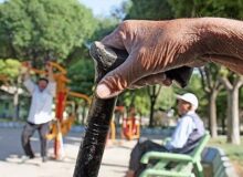 سرعت سالمندی ایران سه برابر ژاپن است