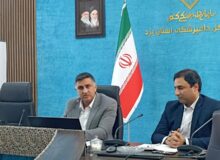 مازاد ۵۰ درصدی استان یزد در تولید شیر و مرغ