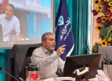 مدیرکل دامپزشکی اصفهان: موارد هاری گربه داریم؛ به گربه‌ها غذا ندهید