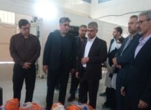 ۳۶ تن فرآورده دامی فاسد در همدان از چرخه مصرف حذف شد